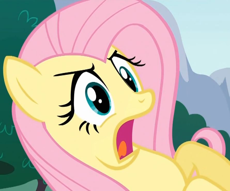 Fluttershy - Shocked and appal(...).png. 