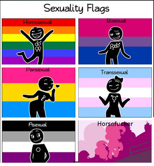 Персонажи с ориентацией би. Флаги ориентаций. Флаг гетеросексуализма. Ориентации человека. Флаг Гетеро ориентация.